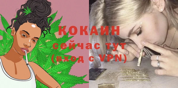 не бодяженный Новодвинск