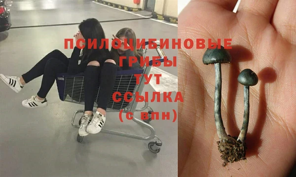apvp Кулебаки